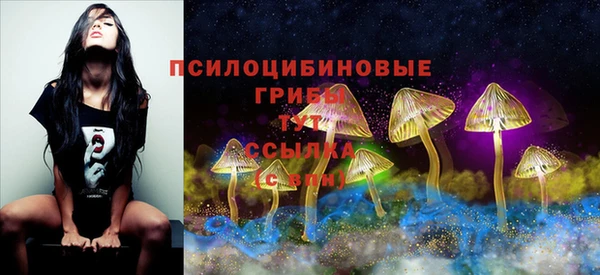 mix Алексеевка